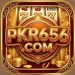 PKR656 Game