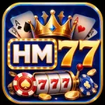 HM77 Game