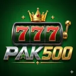 PAK500 Game