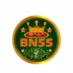 BN 55 Game