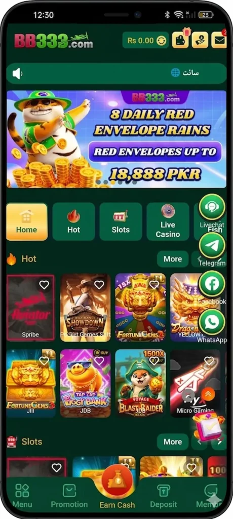 BB333 Game