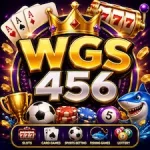 wgs 456 game