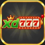 xd777 game